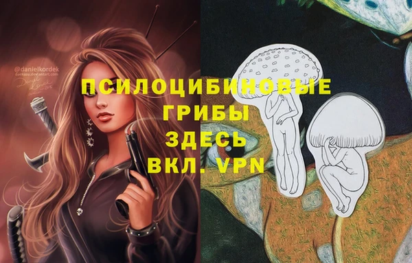 кокаин Алексин