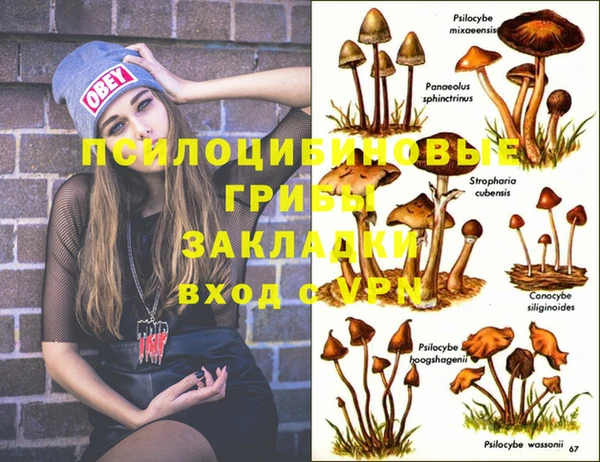 MDMA Premium VHQ Алексеевка