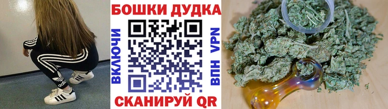 Канабис OG Kush  Вологда 